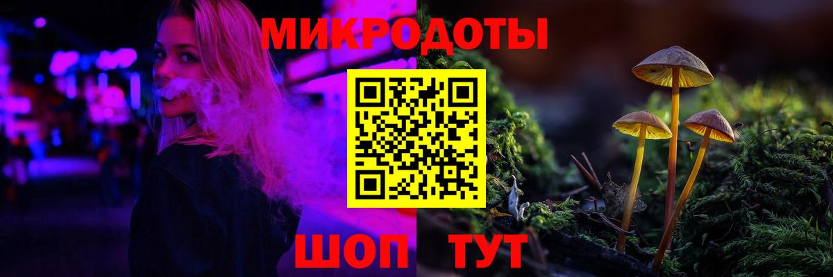 Семилуки  Псилоцибиновые грибы Psilocybe  Вход с VPN  Галлюциногенные грибы ЛСД 
